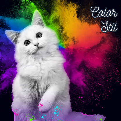 Katze Portrait Color Festival vom Foto als personalisierte Bilder